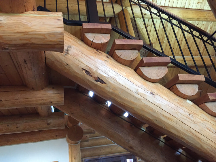Interior Log and Timber Finish