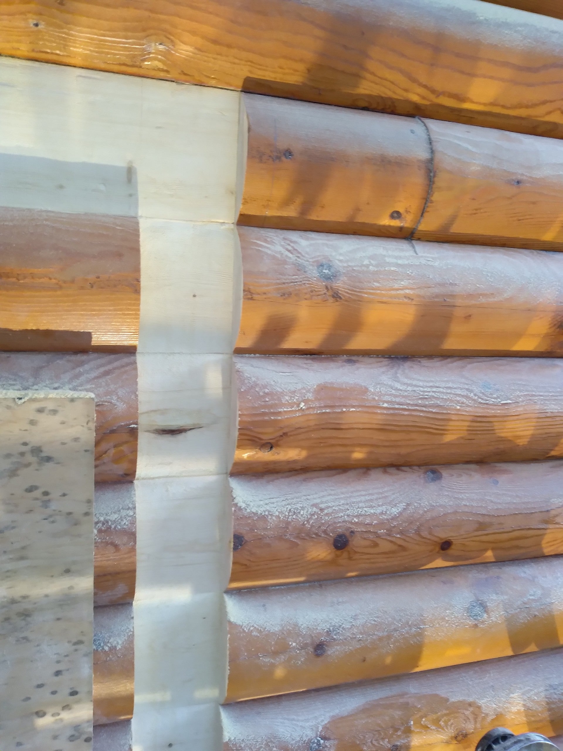 Lumber Modly DOES MOLD ON MY LOGS MEAN I HAVE WOOD ROT – Lovitt's Professional Coatings