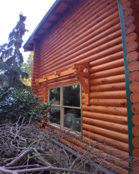 PINE LOGS WITH LOVITTS EMERALD GOLD STAIN APPLIED IN HONEY COLOR