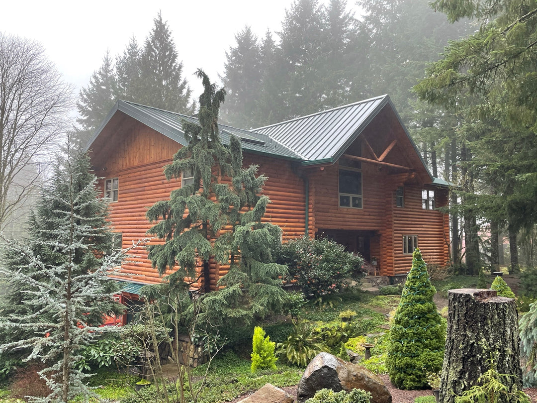 LOG HOME IN THE WOOD WITH LOVITTS EMERALD GOLD STAIN