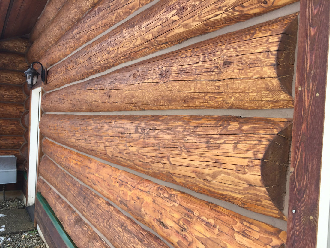 Lovitt's Emerald Gold log home stain in "Brown Sugar" tint color on these fir logs adds warmth