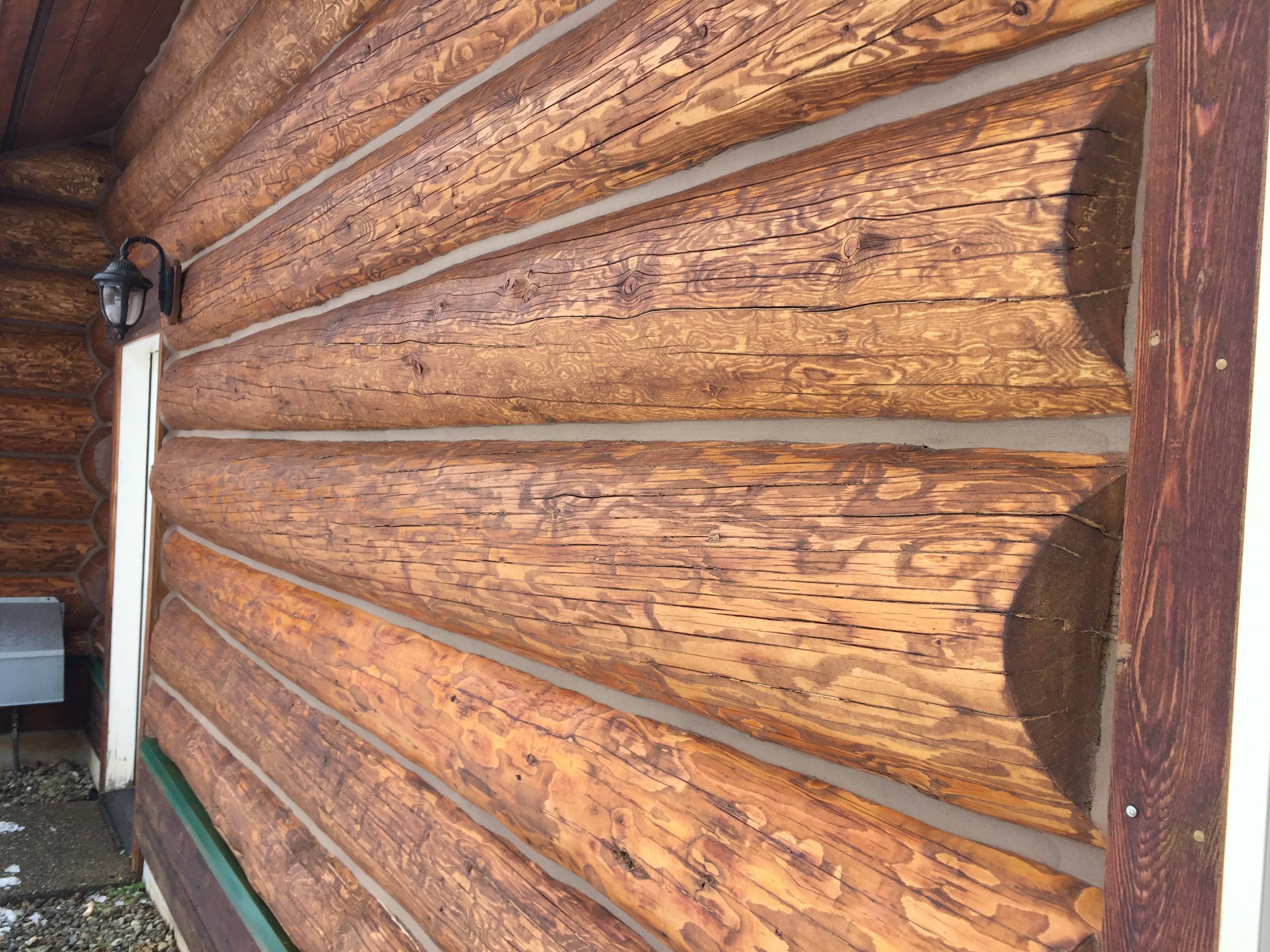 Lovitt's Emerald Gold log home stain in "Brown Sugar" tint color on these fir logs adds warmth